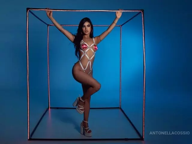 Live Porn Camera of AntonellaCossio